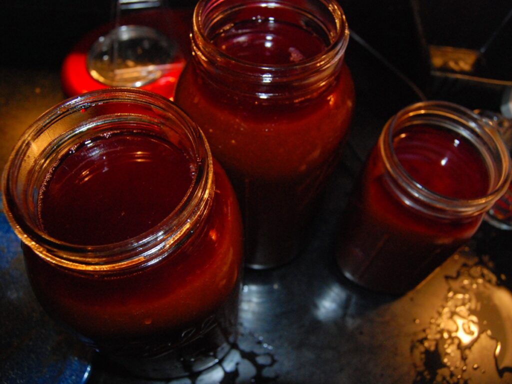 Lacto-fermented rosehip “ketchup”